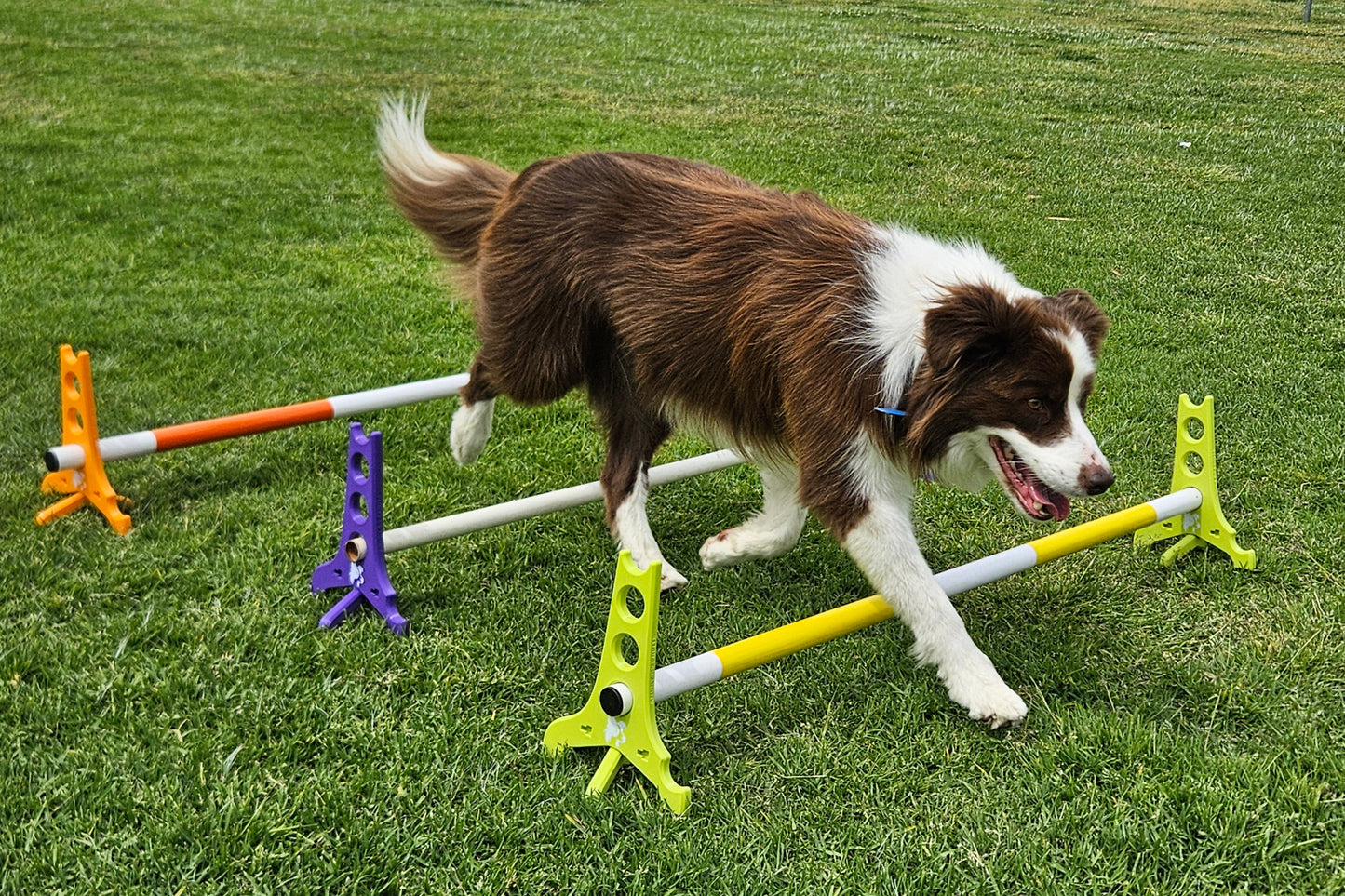 Travaletti - 3D Printed Flat Pack Canine Cavaletti (1 Pair)